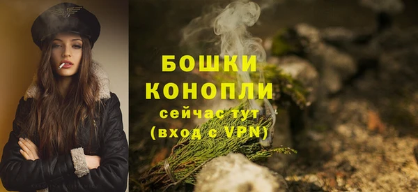 прущие грибы Белокуриха