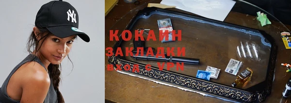 прущие грибы Белокуриха
