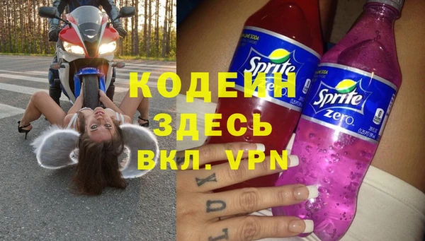 прущие грибы Белокуриха