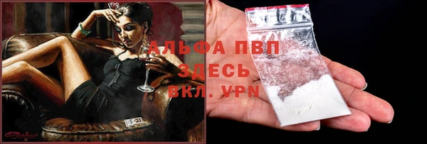 прущие грибы Белокуриха