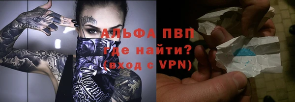 прущие грибы Белокуриха