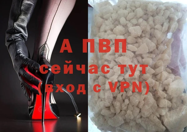 прущие грибы Белокуриха