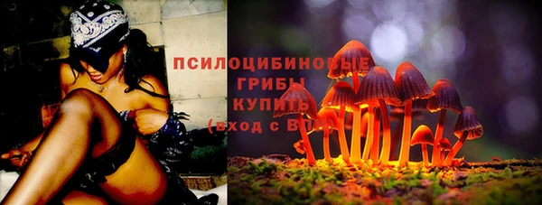 прущие грибы Белокуриха
