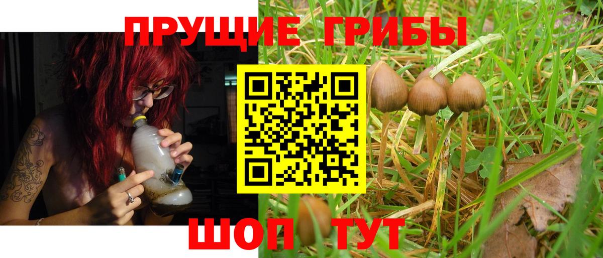 Псилоцибиновые грибы мухоморы Великие Луки