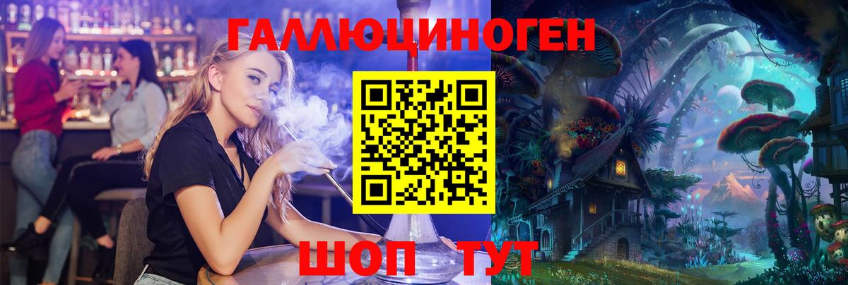 Псилоцибиновые грибы Psilocybe Великие Луки