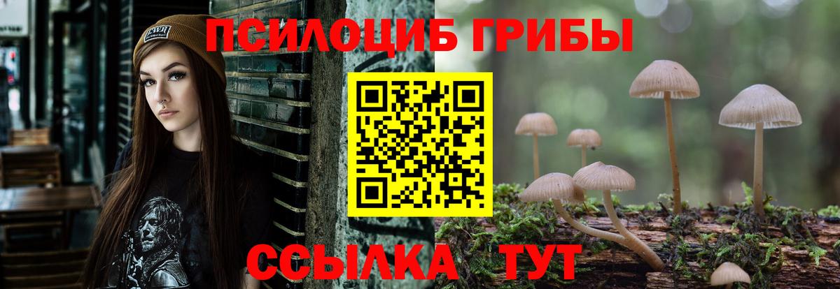 Галлюциногенные грибы ЛСД  Галлюциногенные грибы мухоморы  Великие Луки  Вход с VPN 